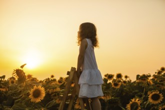 Happy child girl on the top of ladder, against sunflowers field at sunset. Kids dream