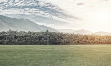 Natural landscape with green field in lights of summer sun