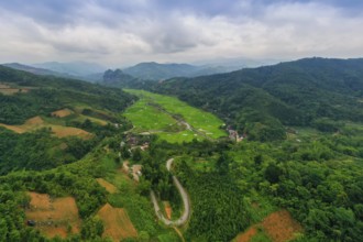 Typical Vietnamese landscape in spring with green vegetation
