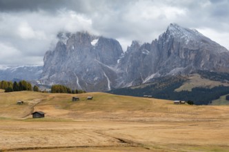 Landscape with beautiful autumn meadow field and the amazing Dolomite rocky peaks the valley of