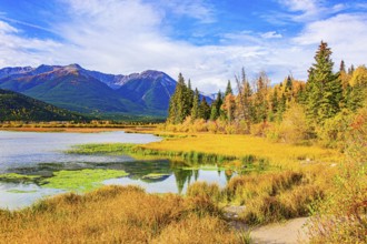 Small swamp on the shores of Lake Vermillon. The water is covered in green mud. Indian summer in