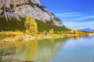 Rocky Mountains are reflected in the smooth water of Lake Abraham. Indian Summer in the Rockies of