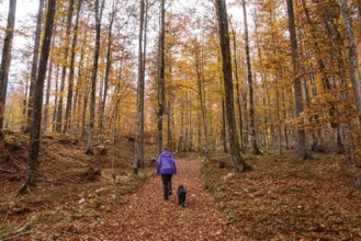 Hiking through the Vrata valley in autumn, Triglav National Park in the Julian Alps, Slovenia