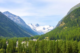 Beautiful View over the Swiss Alps with Glacier Morteratsch, Piz Bernina (4, 049 m), Piz Palü (3,