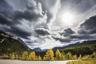 The road bends sharply in the woods. Perfect storm sunset over the Rocky Mountains