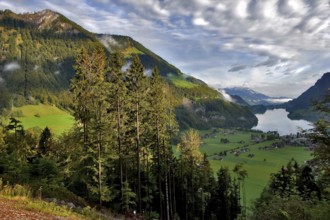 Lake, meadows and a village in Switzerland mountains
