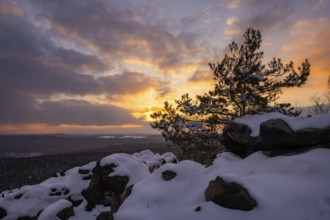 Sunset on Gohrisch in the village of the same name in Saxon Switzerland. In the background the