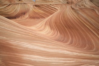 The wave in Paria Canyon