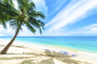 A beautiful beach on a tropical island
