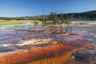 Geothermal landscape in Yellowstone National Park