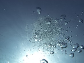 Rising air bubbles