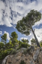 Majorca Northern coastal route