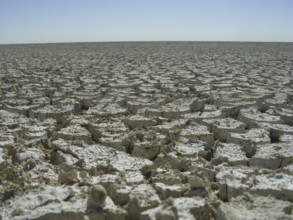 Etosha Pan, Namibia