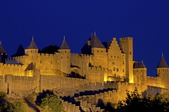 Carcassone by night