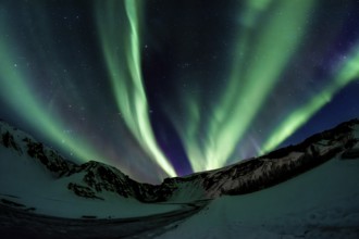 Fascinating northern lights in the night sky over a snowy landscape, Iceland