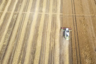 Combine harvester working on a wheat field. Combine harvester Aerial view