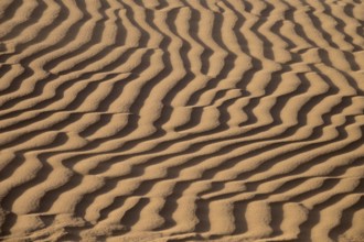 Background of sand dunes in Sahara desert