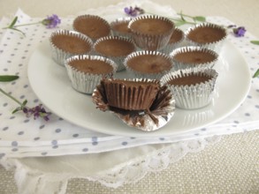 Homemade ice cream confectionery with cocoa, icing sugar and coconut oil in aluminium moulds
