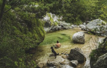 Belluno, Veneto, Italy, A person and a dog discover a small river among rocks and trees