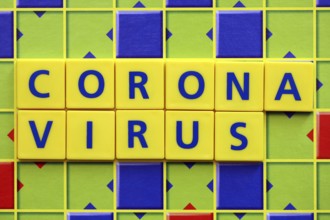 Corona Virus