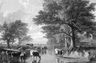 Evening in the meadows on engraving from 1883. Engraved by J.Cousen after a picture by T.S.Cooper