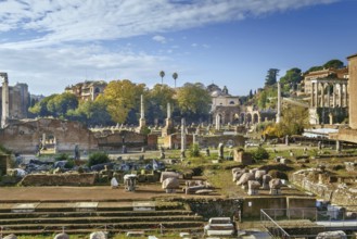 Roman Forum is a rectangular forum (plaza) surrounded by the ruins of several important ancient