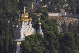 Golden domes of the Church of Mary Magdalene and cypresses. Mount of Olives, Jerusalem