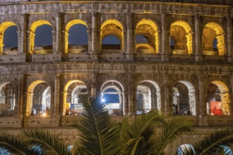 The Colosseum, famous and unique historical building of the Eternal City. View in the morning with