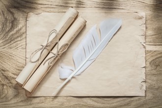Medieval parchment paper scrolls feather on wooden board