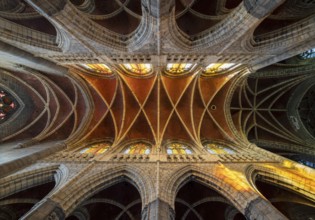 Liège, Liege, Basilica of St Martin (Basilique Saint-Martin), vault in the nave