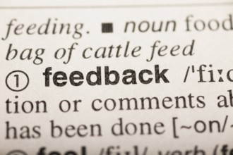 Feedback, word in dictionary. macro shot. selective focus