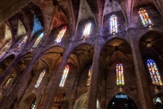 Stained glass windows in Santa Maria Cathedral, La Seu, Palma de Majorca, Majorca, Balearic
