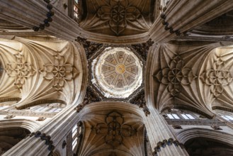 Salamanca, Spain, January 15, 2022: Cathedral of Salamanca. Interior view of the vaults