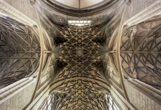 Gloucester, abbey church (cathedral), vault in the crossing with cantilevered ribs