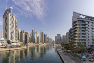 A picture of the Dubai Marina buindings