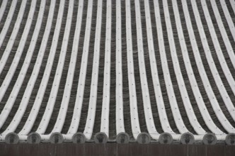 Detail of a japanese roof with traditional roofing tiles, Kyoto, Japan