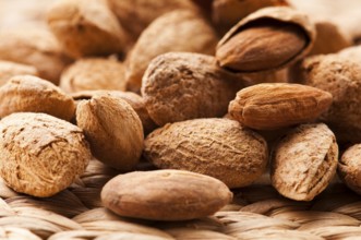 Sweet almonds with kernel, lodz, poland
