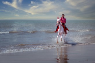 A rider with his horse on Mandvi beach, Gujarat, India