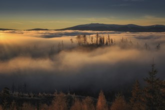 Fog in the foothills of the High Tatras at sunrise near Strbske pleso in Slovakia