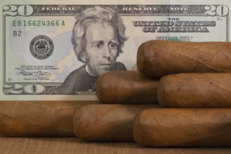 Luxury Cuban cigars with US dollar banknote on the wooden table