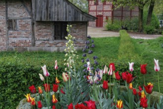 A colourful flower bed full of tulips in front of a half-timbered house, surrounded by lush