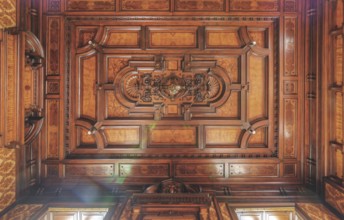 Artfully carved ceiling in the interior with elaborate wood panelling, Villa Woodstock, Lost Place,