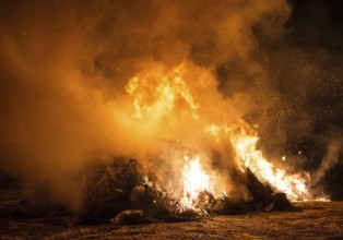 Waste incineration. Burning of trash and old trees
