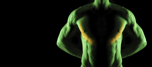 Mauritania flag on muscled male torso with abs, black background