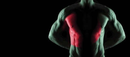 Bangladesh flag on muscled male torso with abs, black background