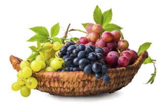 Grape in wicker basket isolated on a white background