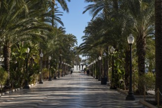 Alicante, Spain, 2 February, 2023: view of the Paseo Maritimo harbor promenade in downtown Alicante