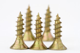 Wood Screw Silhouette on White Backgound