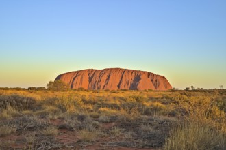 Ayers Rock or Uluru respectively at sun set. Photo shot in 2020
