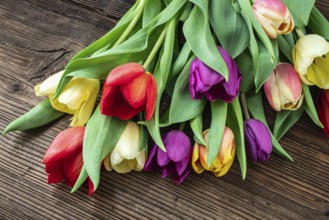 Colorful tulips on wooden table